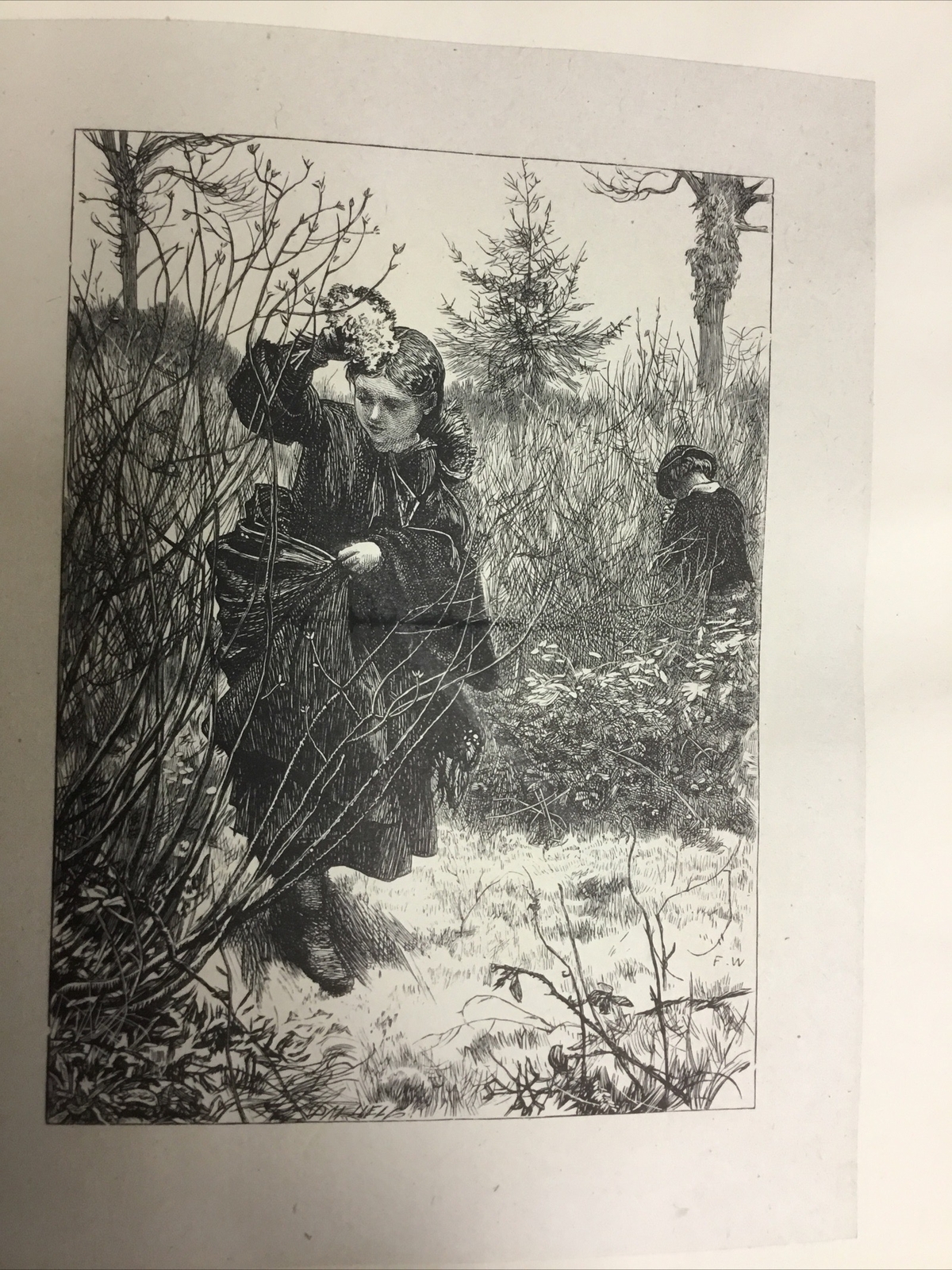 English Rustic Pictures Walker & Pinwell, India Proofs 1882