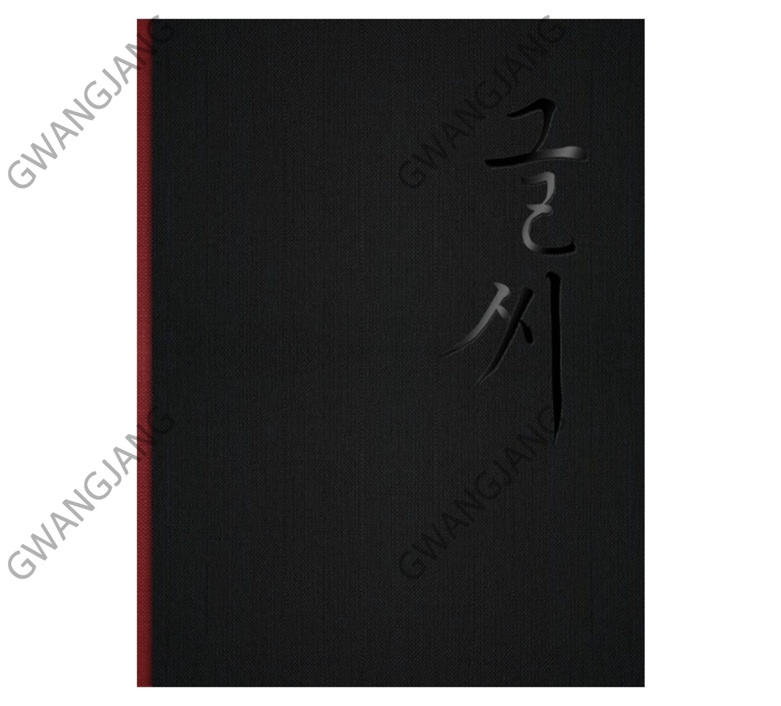 DESIGNSAGANG Kang Byung-In’s Calligraphy Collection Art Design Book Artist Kpop