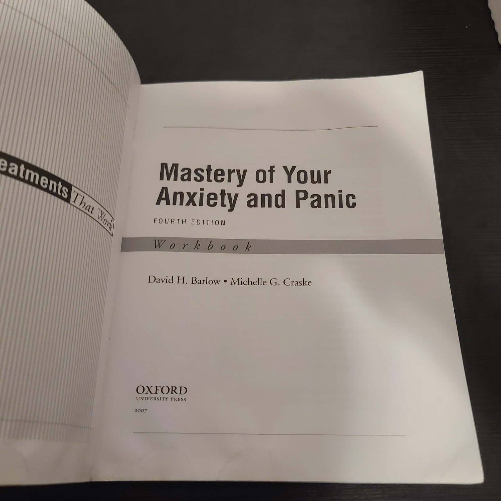 Mastery of Your Anxiety and Panic (Treatments That Work) 4th PB DAvid H. Barlow