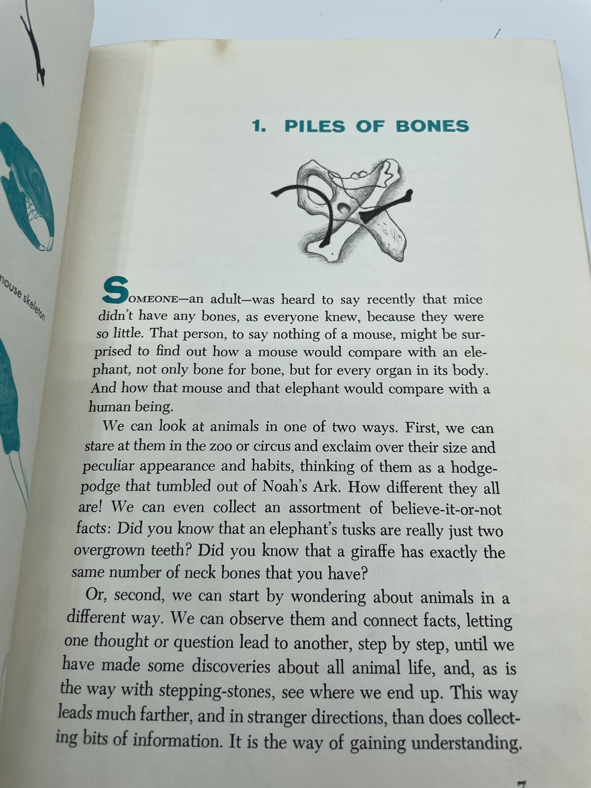 Bone for Bone Margaret Cosgrove 1968 hardcover rare Dust Jacket 128 Pages