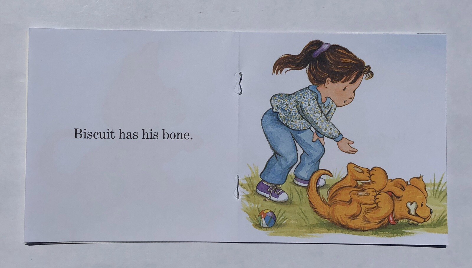Biscuit Phonics Childrens Books Fun Learning Learn to Read I Can Read Lot 24