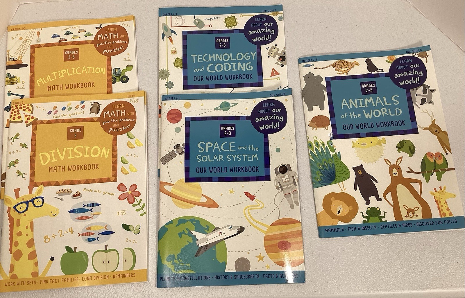 Our Amazing World & Math Learning Workbooks 32 Pages Grades 2-3 Lot Educational