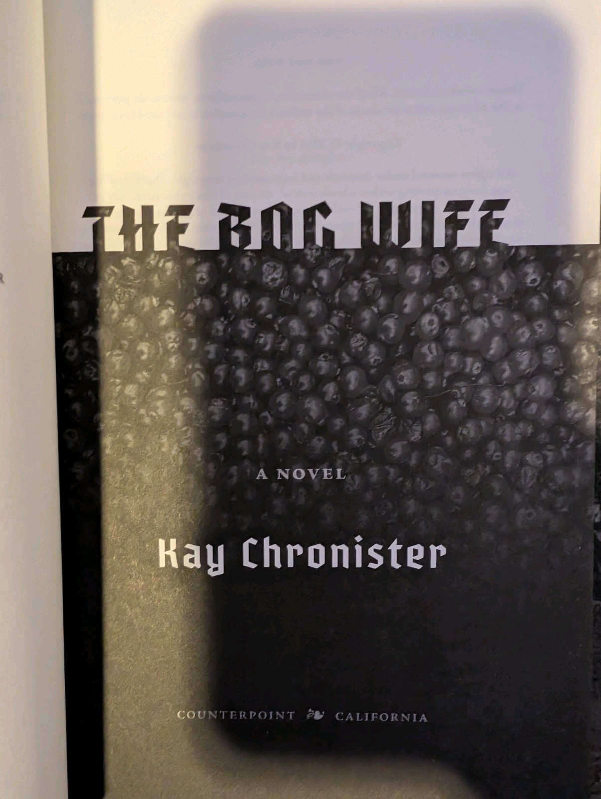 The Bog Wife by Kay Chronister Hardcover Like New First Edition