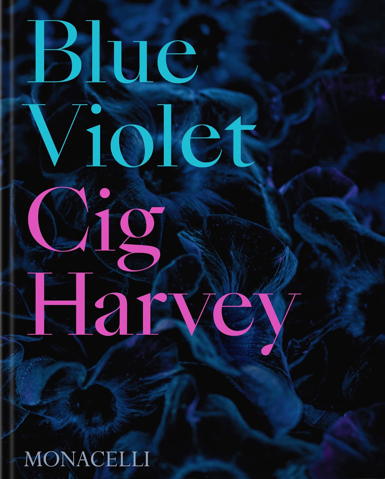 Blue Violet by Harvey