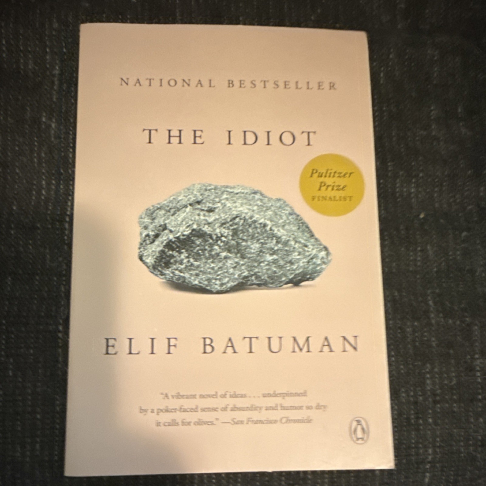The Idiot by Elif Batuman Paperback Fiction Novel English Young Adult Narrative