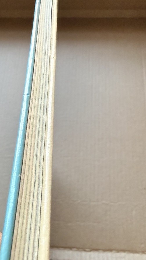 1971 Dr Seuss The Lorax First Edition First Printing Lake Erie Random House Rare