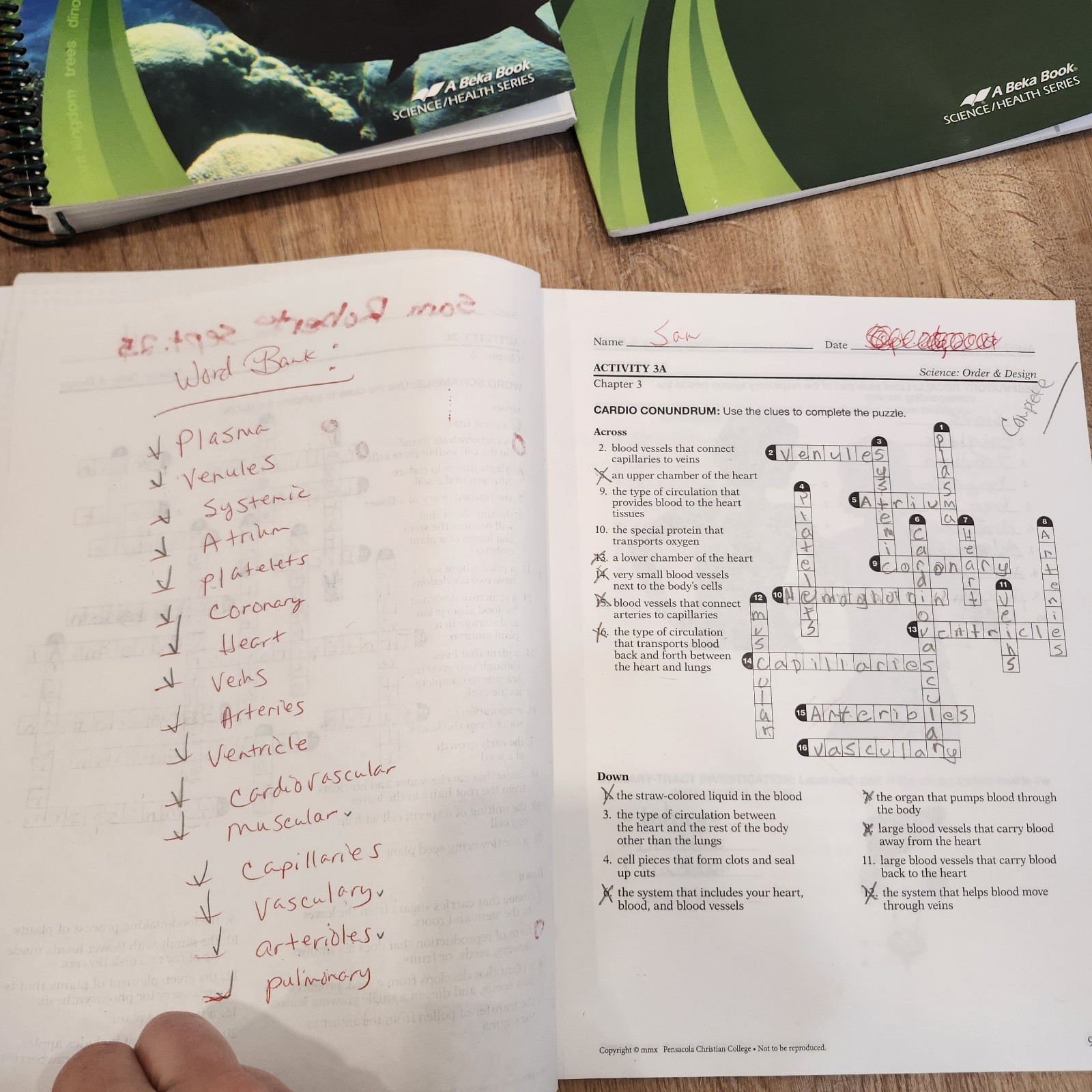 ABEKA 7th Grade Curriculum Complete* Set History Science English Mathematics +