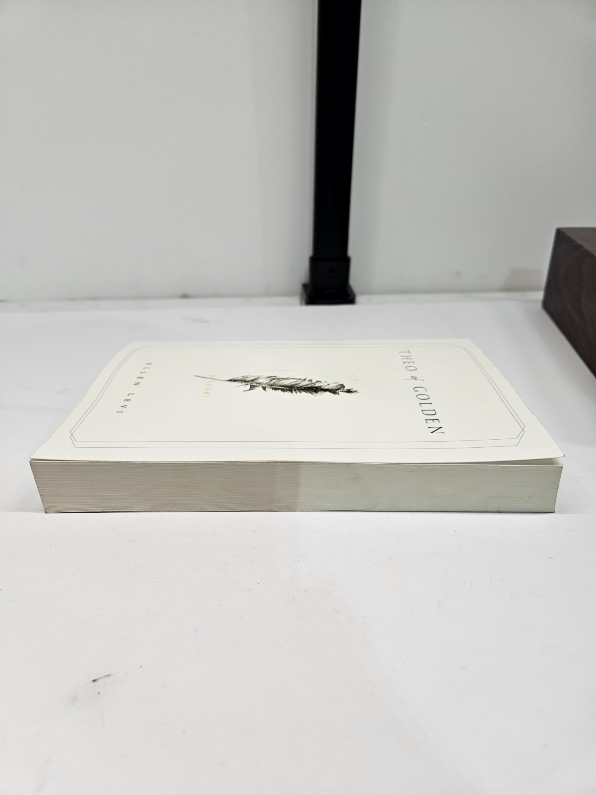 Theo of Golden Allen Levi RARE SELF PUBLISHED 1st Edition – Good Condition