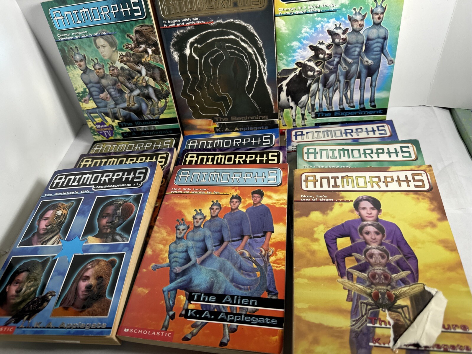 Animorphs Book Lot of 12 Applegate 2 damaged as shown