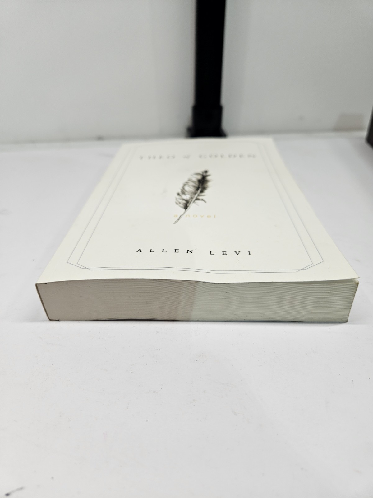 Theo of Golden Allen Levi RARE SELF PUBLISHED 1st Edition – Good Condition