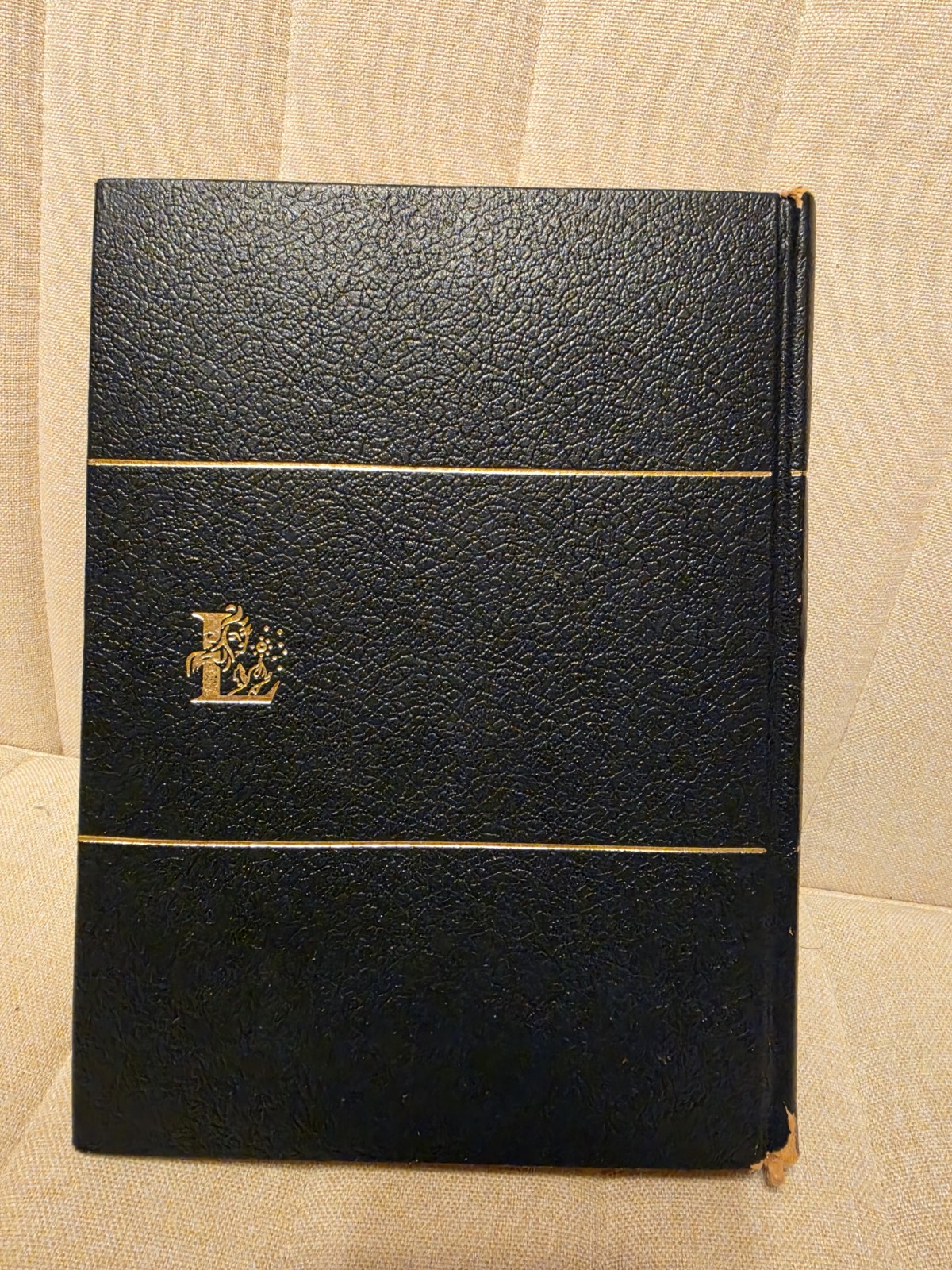Larousse Tecnico 1975 Dictionary