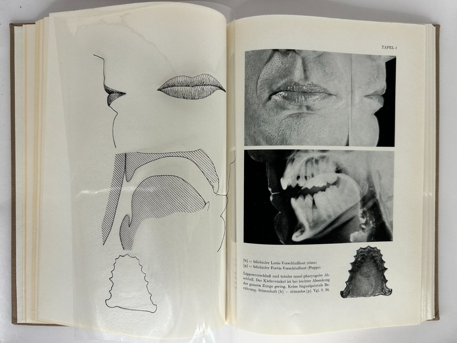 Atlas Deutscher Sprachlaute Wangler 1974 German Phonetics Speech Atlas GDR HC