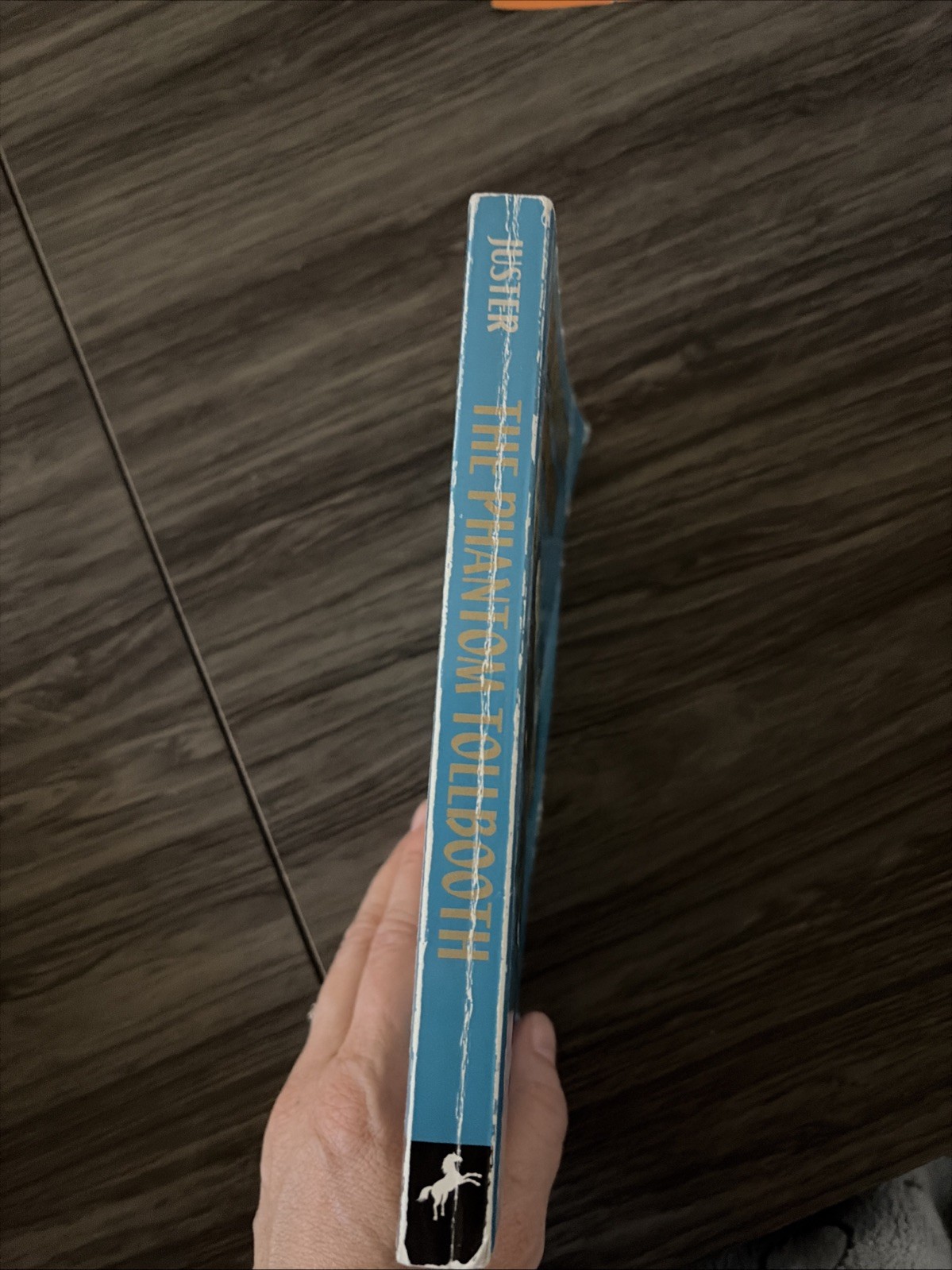 The Phantom Tollbooth by Norton Juster