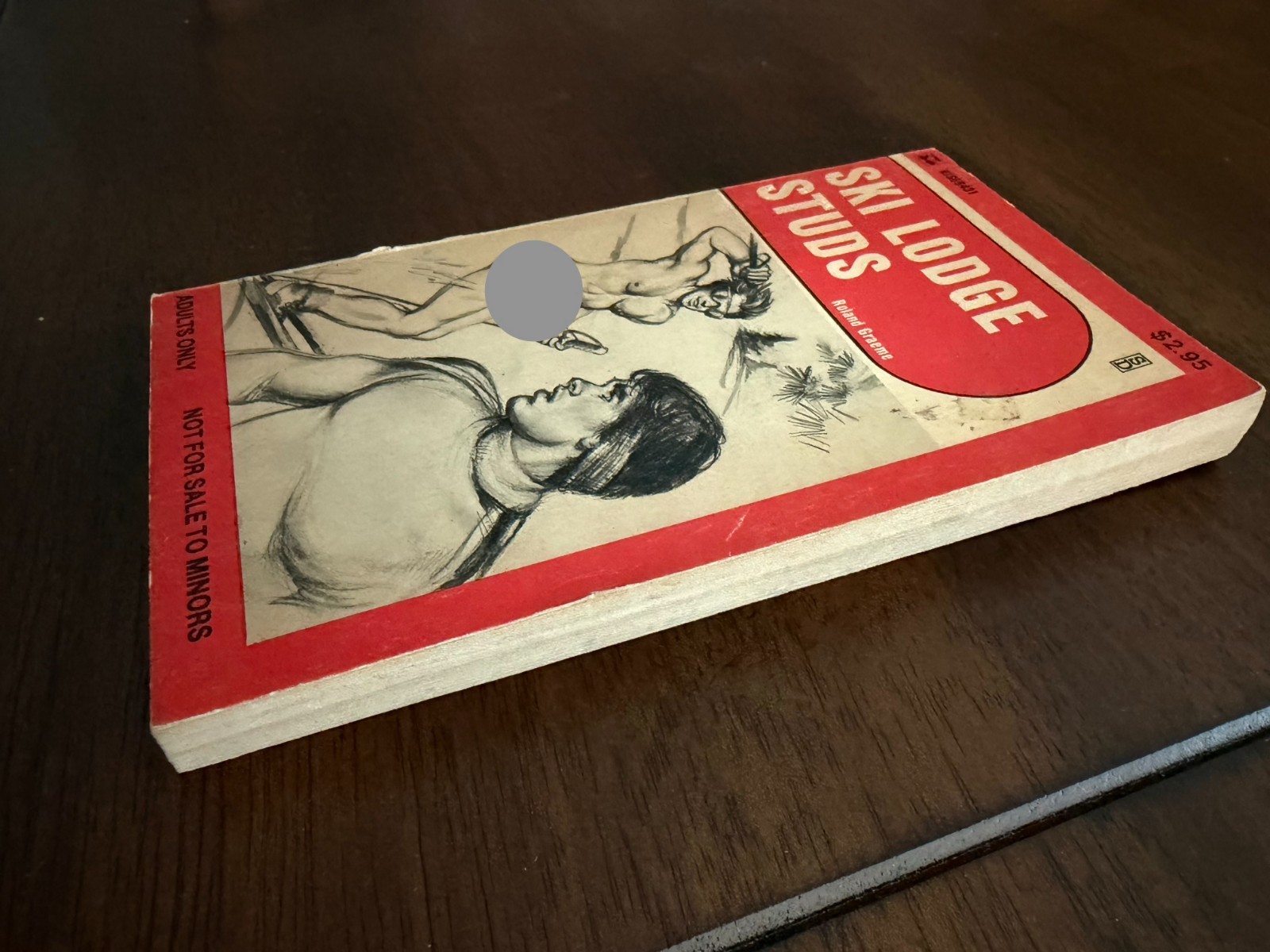 SKI LODGE STUDS by Roland Graeme HIS69431 Gay Pulp Paperback 1981 Good, see pics