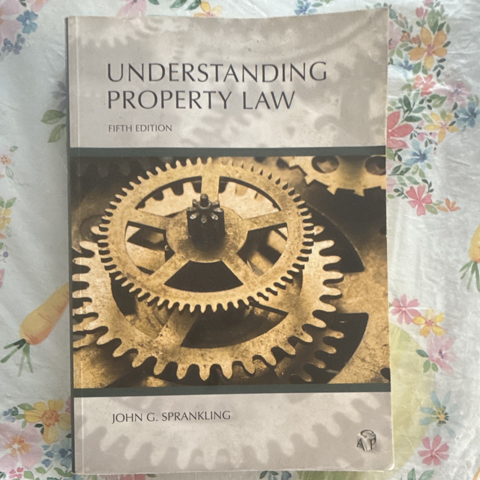 Understanding Property Law by John Sprankling (2017, Trade Paperback)