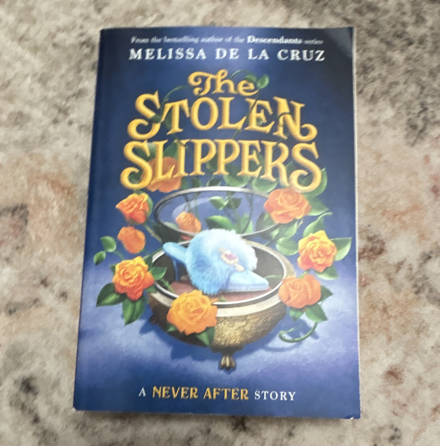 The Stolen Slippers by Melissa De La Cruz Never After Square Fish Paperback