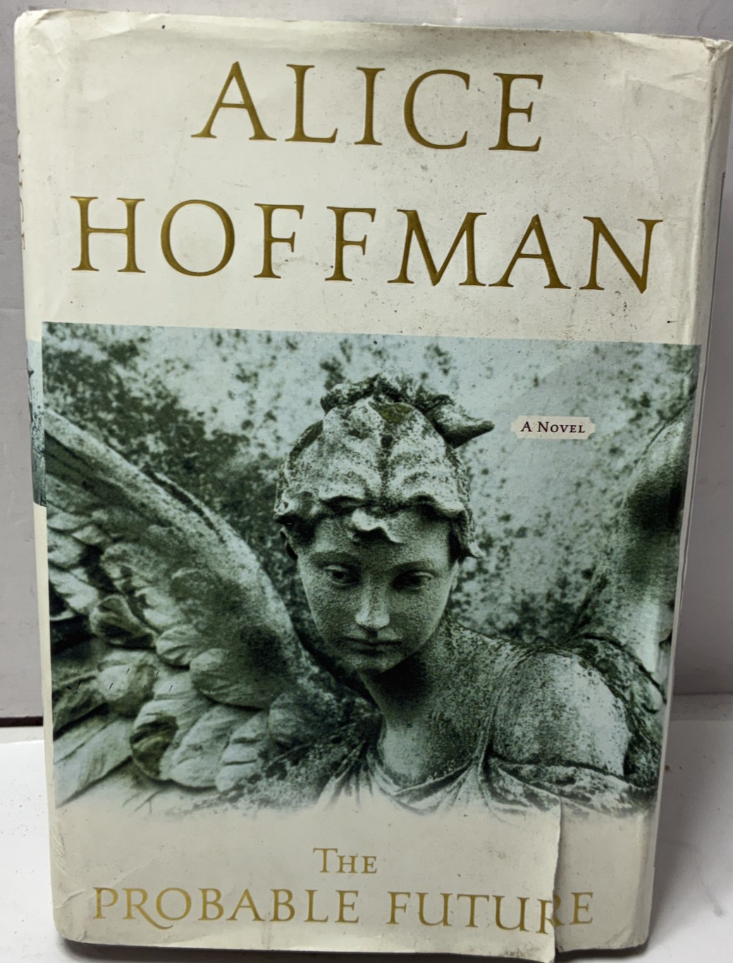 The Probable Future by Alice Hoffman (2003, Hardcover)