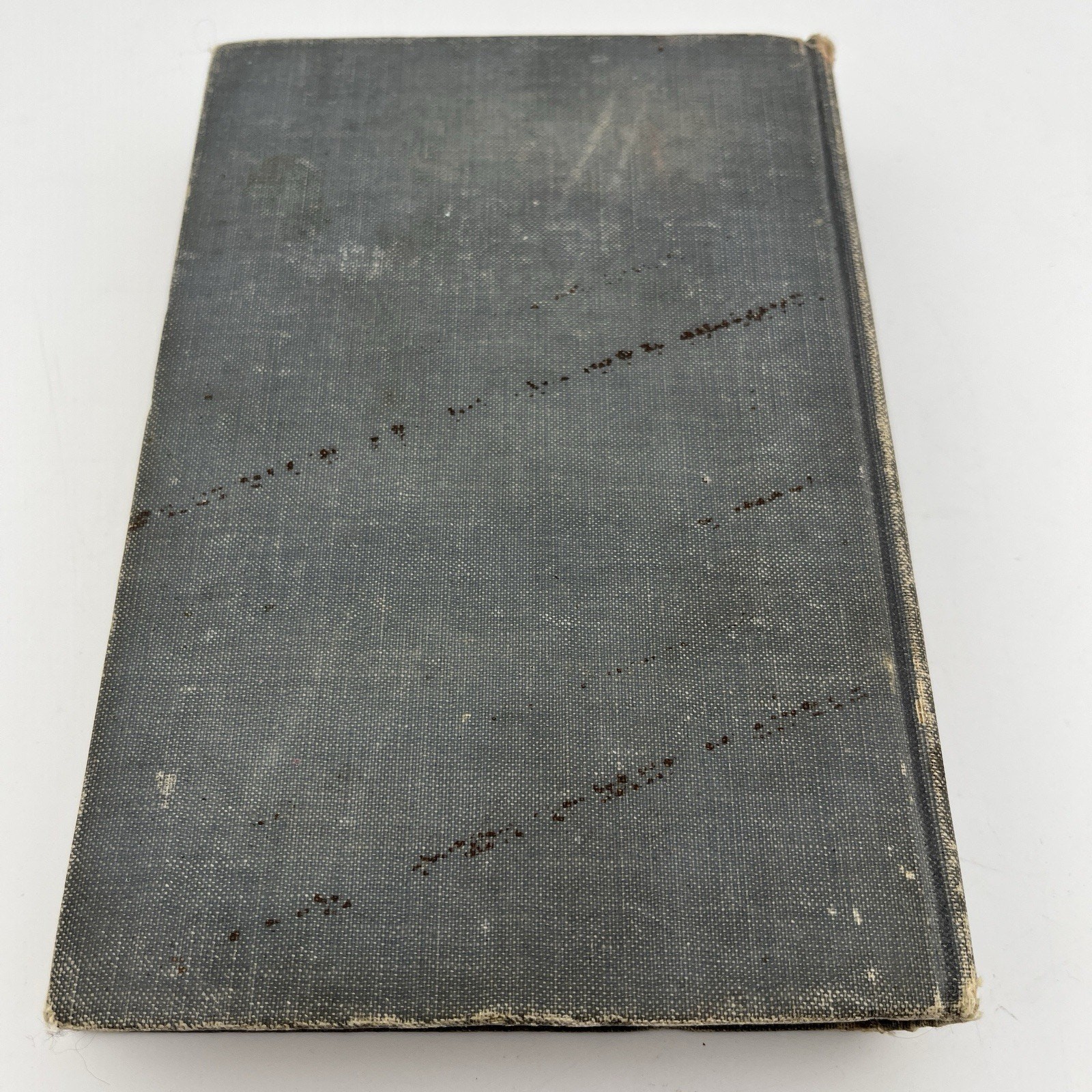 The Blue Grass Cook Book MINNIE C. FOX 1st Edition 1st Printing 1904