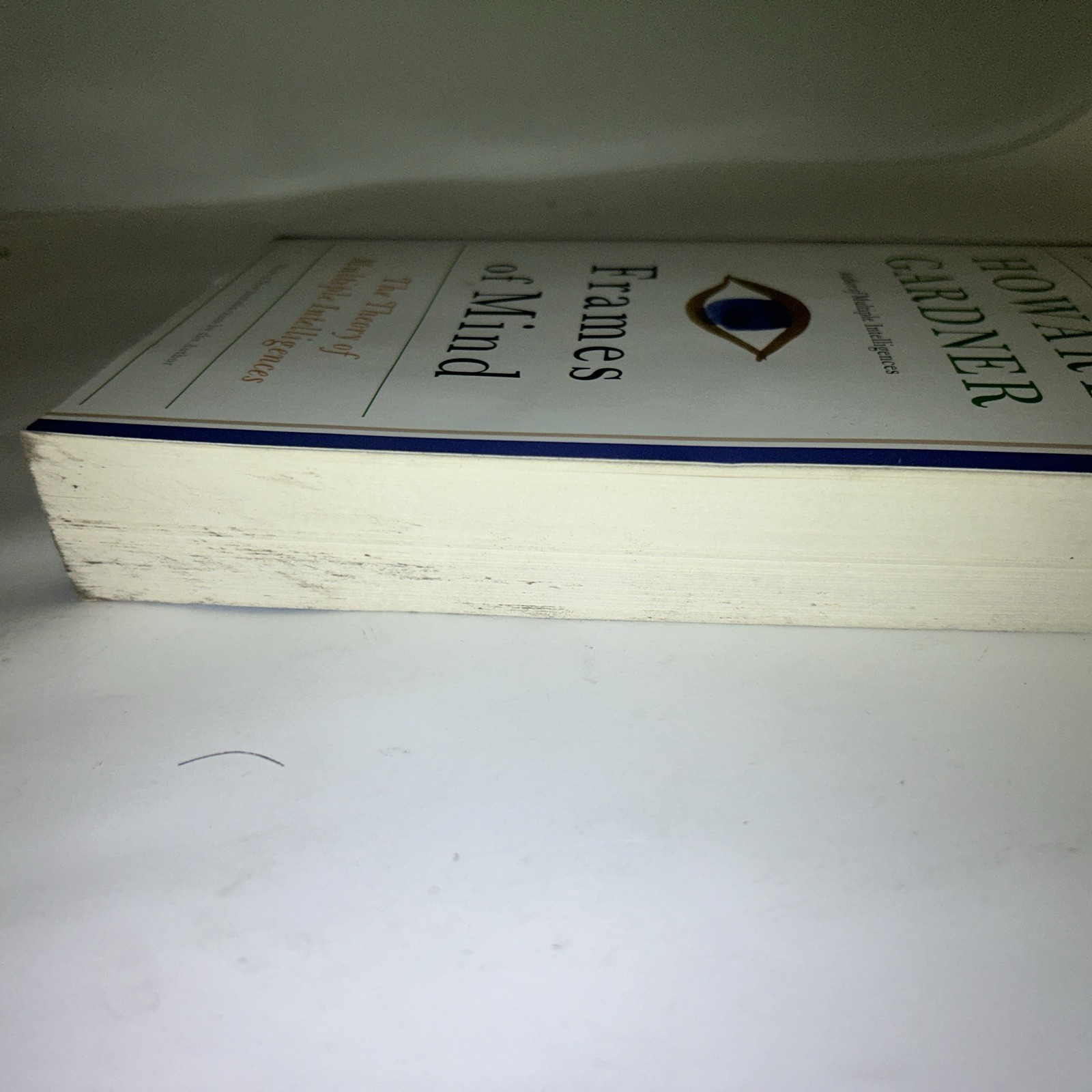 Frames of Mind: The Theory of Multiple Intelligences – Paperback – GOOD Read