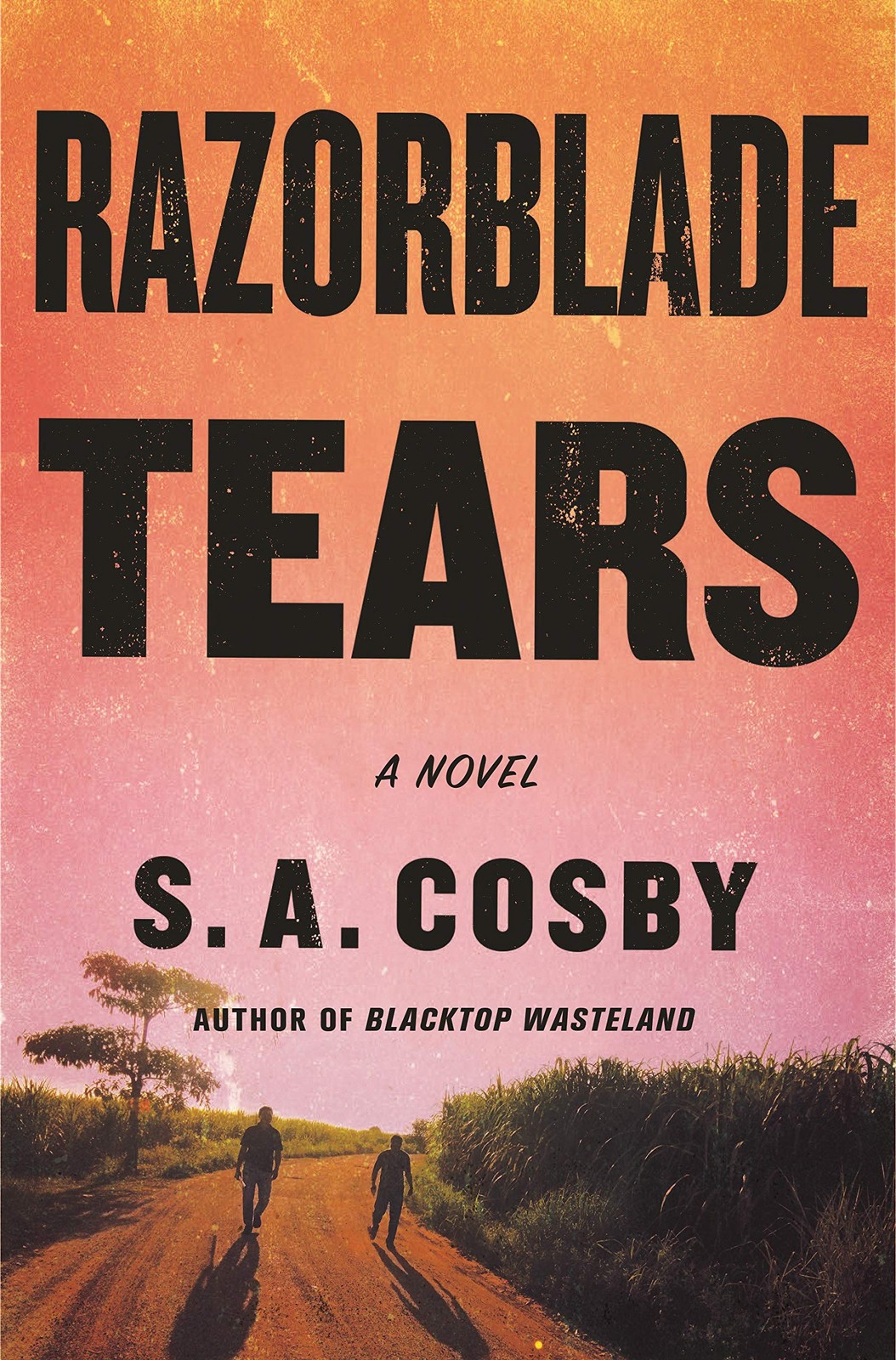 Razorblade Tears by A Cosby
