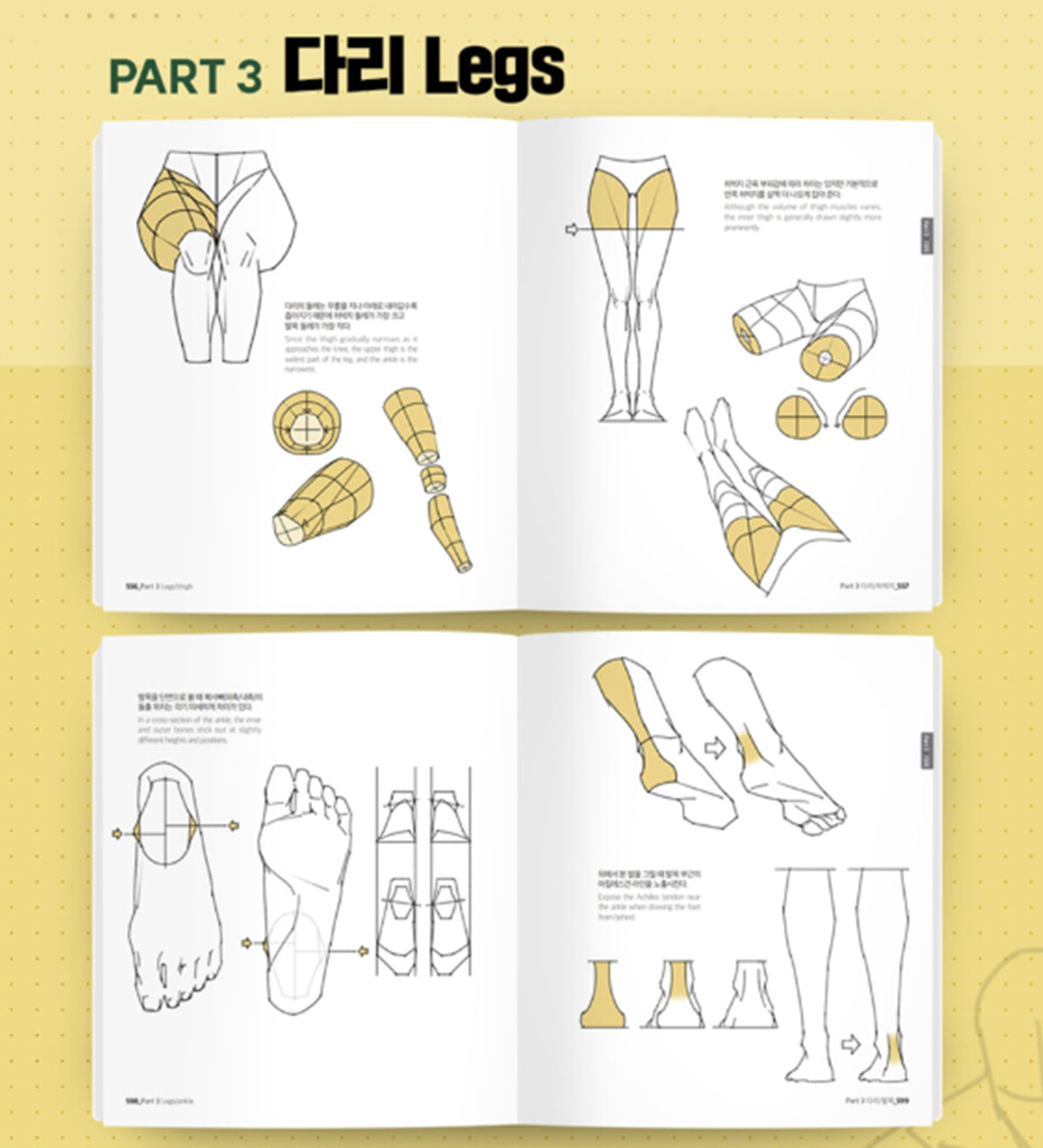 Taco Point Character Drawing 2 Korean Art Anatomy Book English Sub