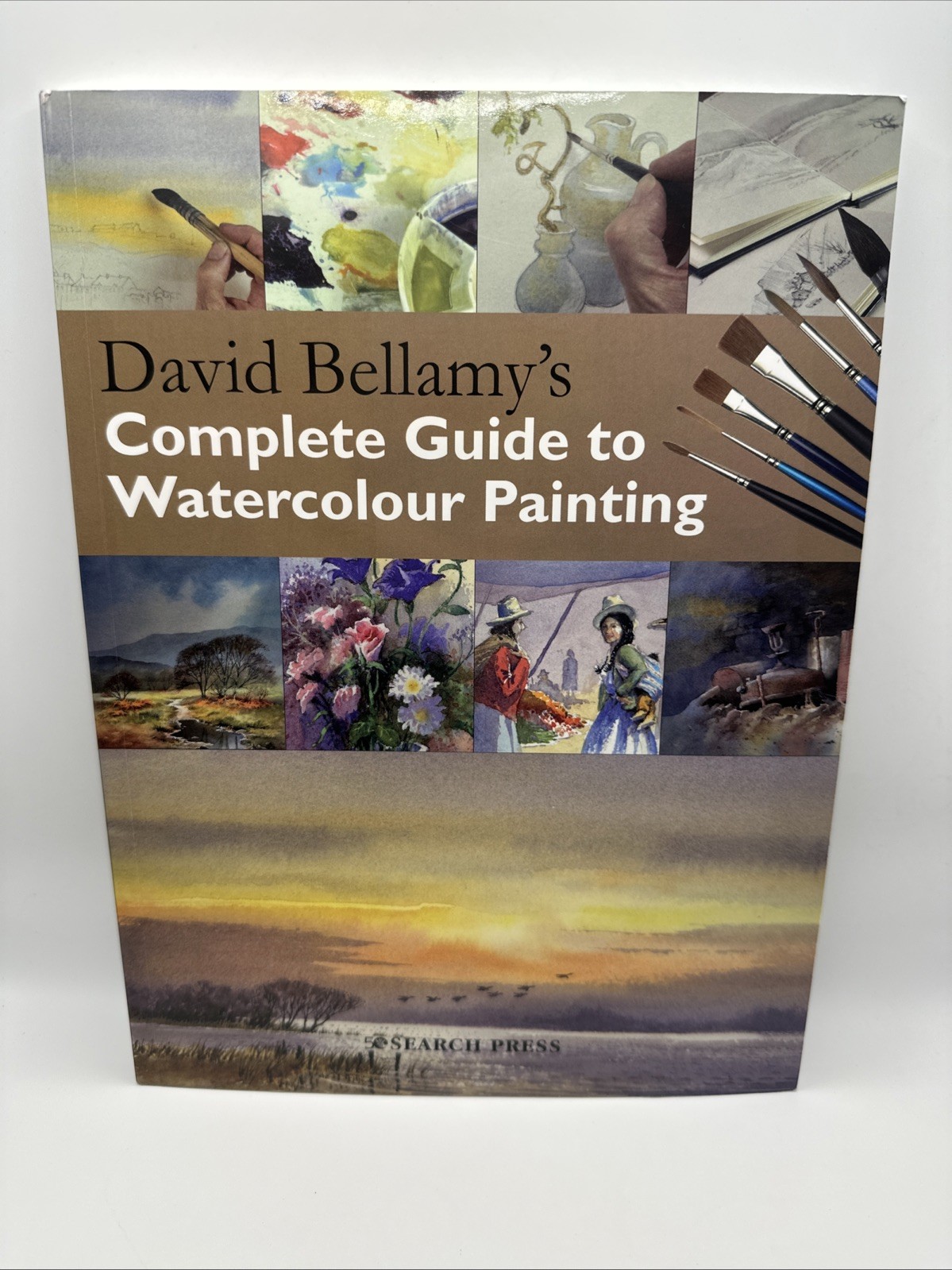 David Bellamy’s Complete Guide to Watercolour Painting (Paperback) FREE SHIPPING