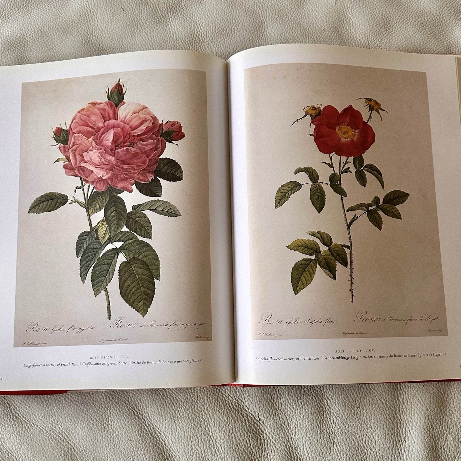 Redoute The Roses 25th Anniversary Taschen 2007 Book Complete Full Page Plates