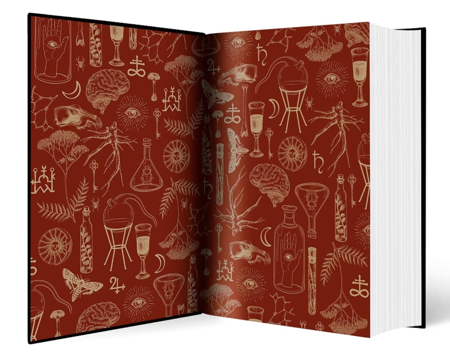 Alchemised by SenLinYu Collector’s Edition – Fiction – Deluxe Hardback