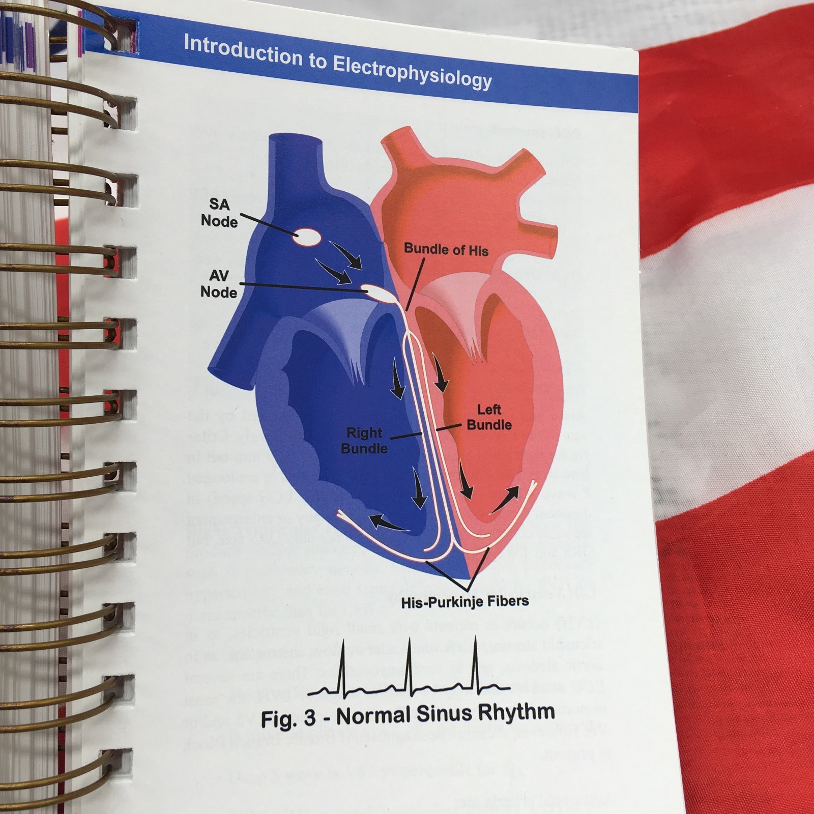 Illustrated Field Guide to Congenital Heart Disease and Repair – 3rd Edition