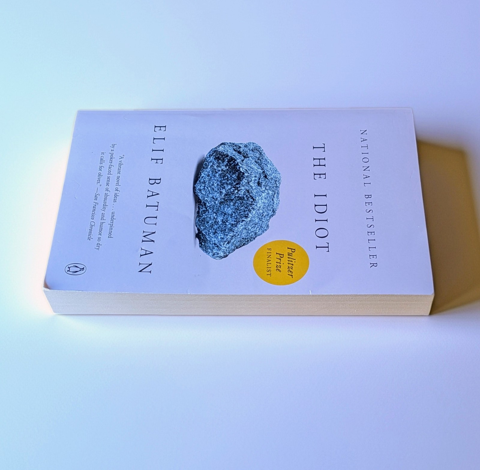 Idiot : A Novel by Elif Batuman (2018, Trade Paperback)