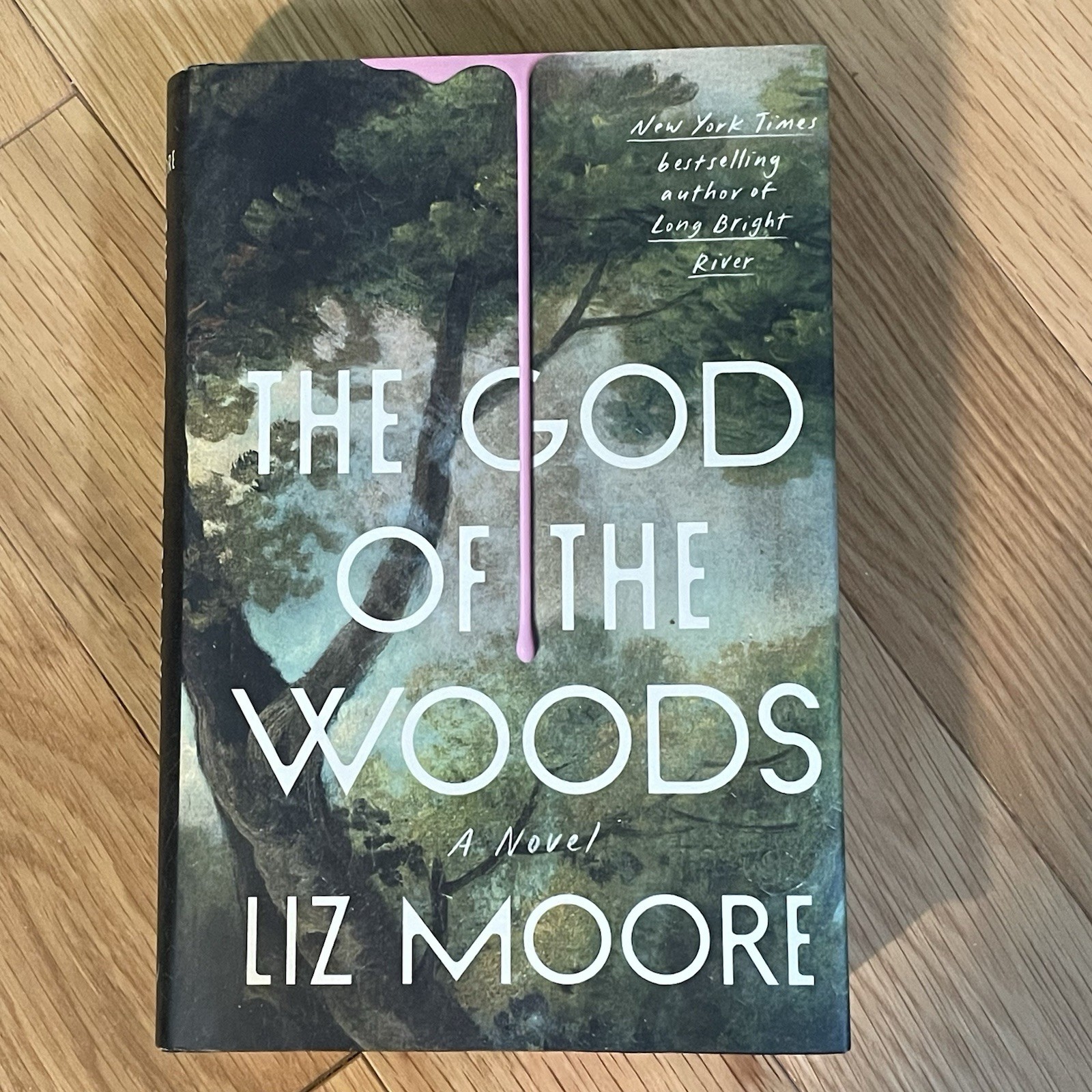 The God of the Woods by Liz Moore First Edition, Hard Copy, Dust Jacket Like New