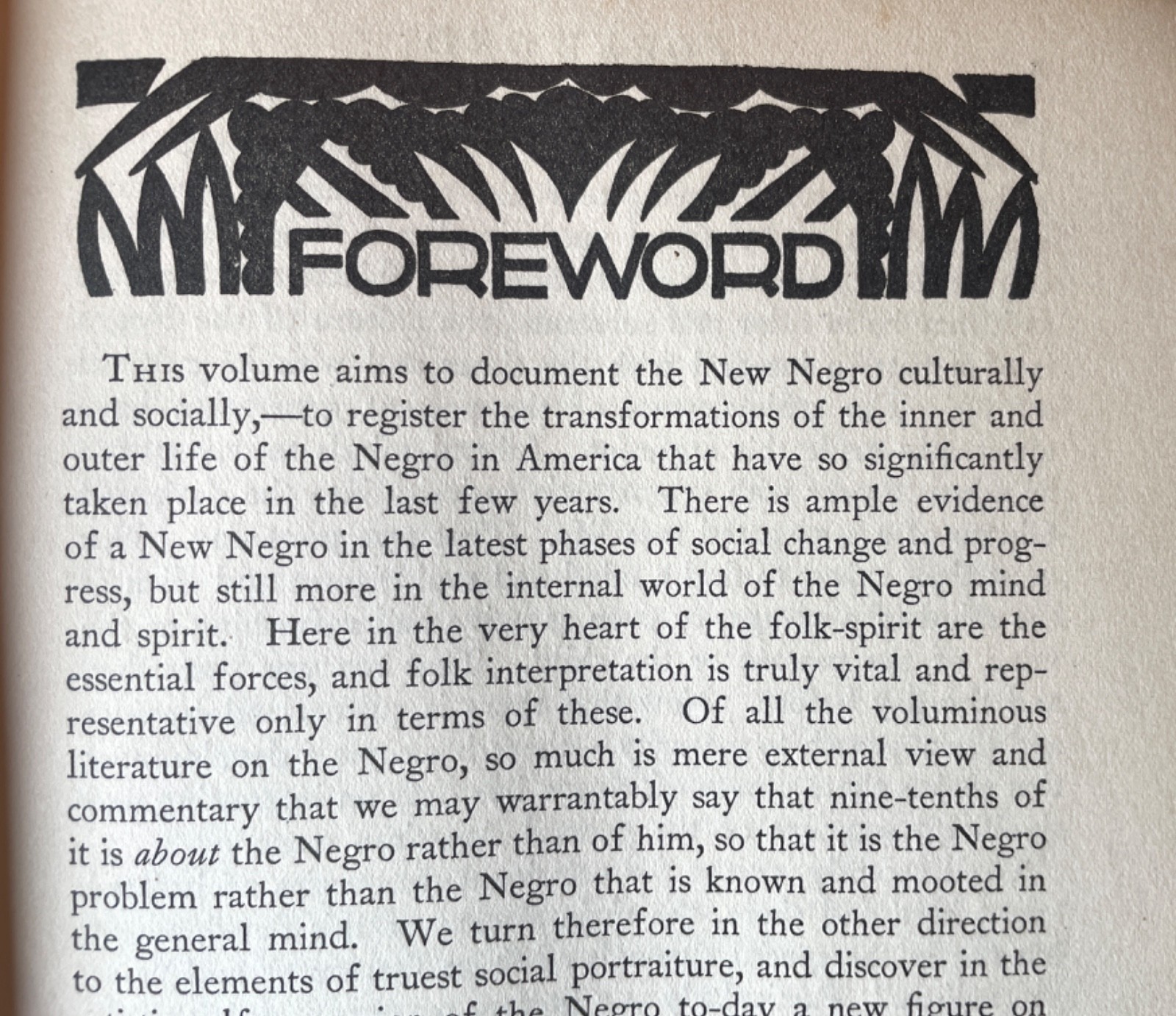 The New Negro Alain Locke 1925 First Edition First Printing Harlem Renaissance