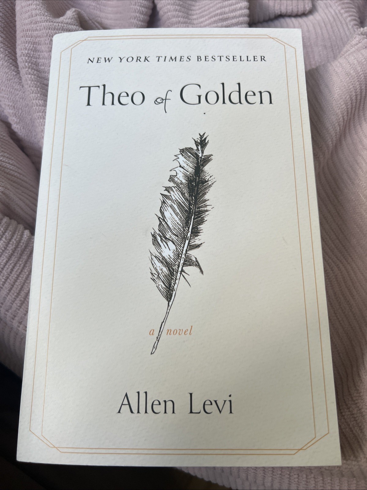 Theo of Golden : A Novel by Allen Levi (2025, Trade Paperback)