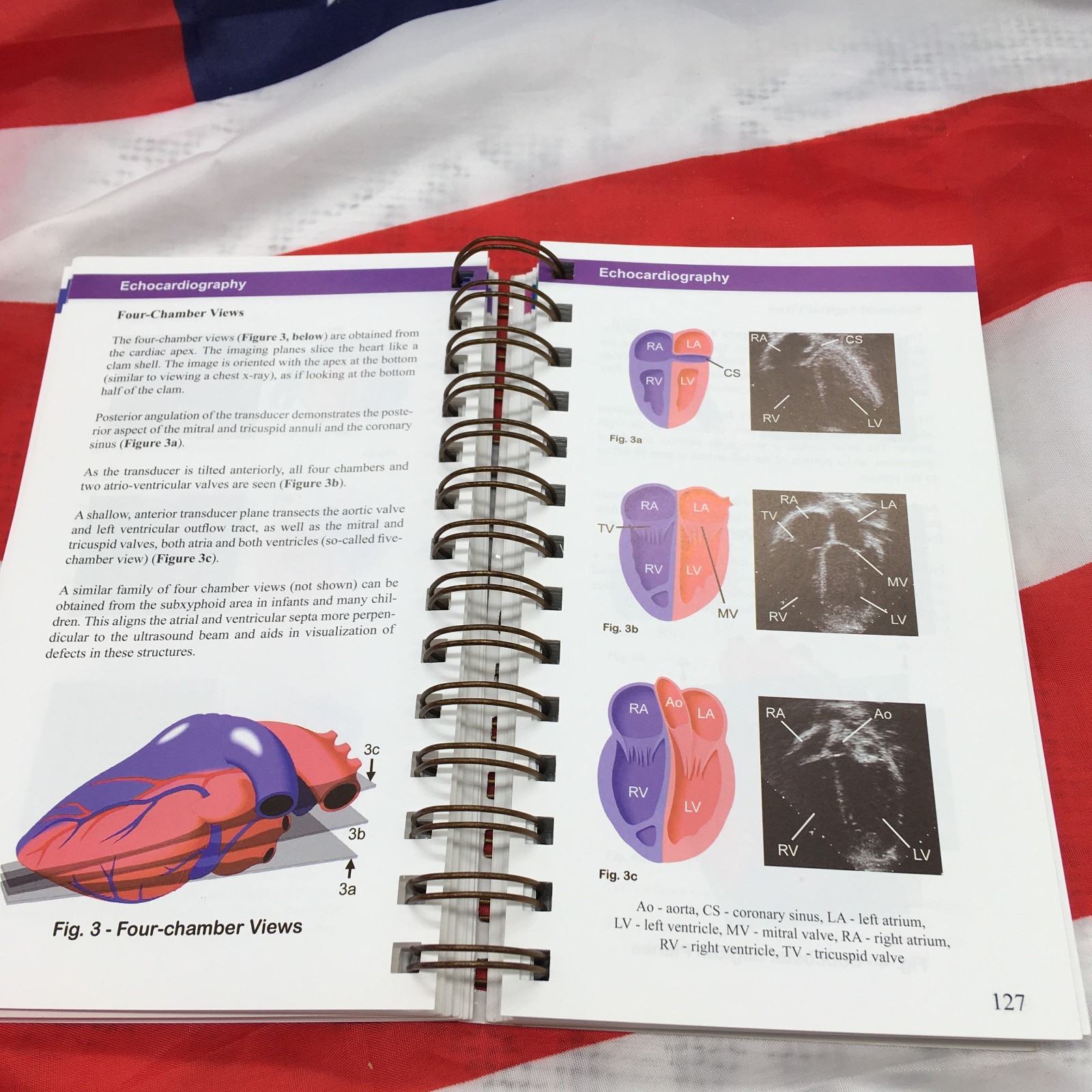 Illustrated Field Guide to Congenital Heart Disease and Repair – 3rd Edition