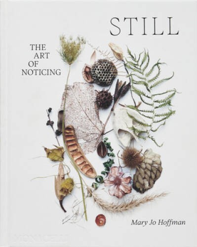 STILL: The Art of Noticing – Hardcover By Hoffman, Mary – VERY GOOD