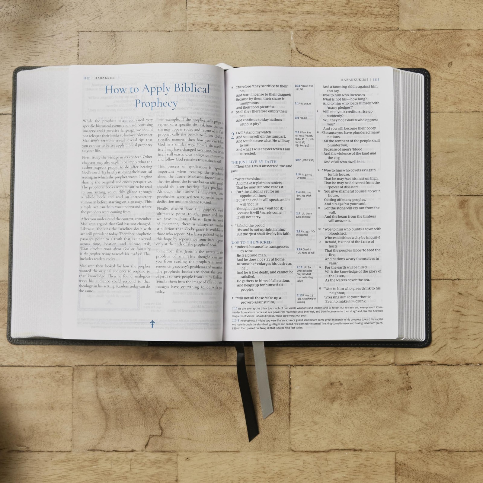 Alexander Maclaren Study Bible: Encouragement and Insights for a…