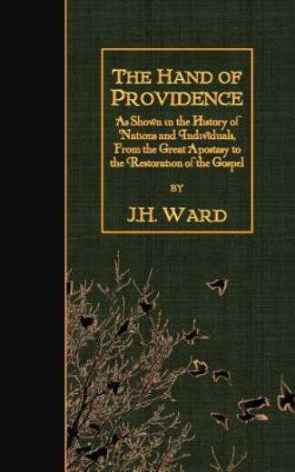 The Hand Of Providence: As Shown In The History Of Nations And Individuals,…