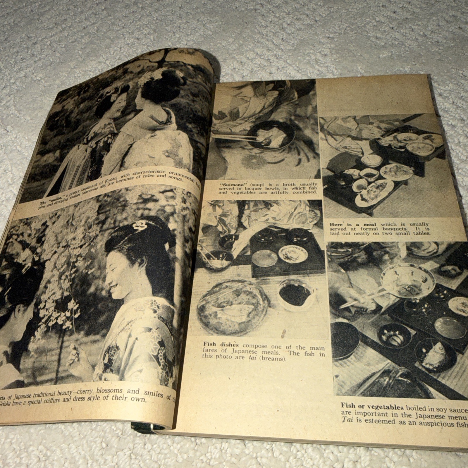 1948 A PICTORIAL GUIDE – JAPAN TODAY, Shodo Taki 371 pages / Douglas MacArthur