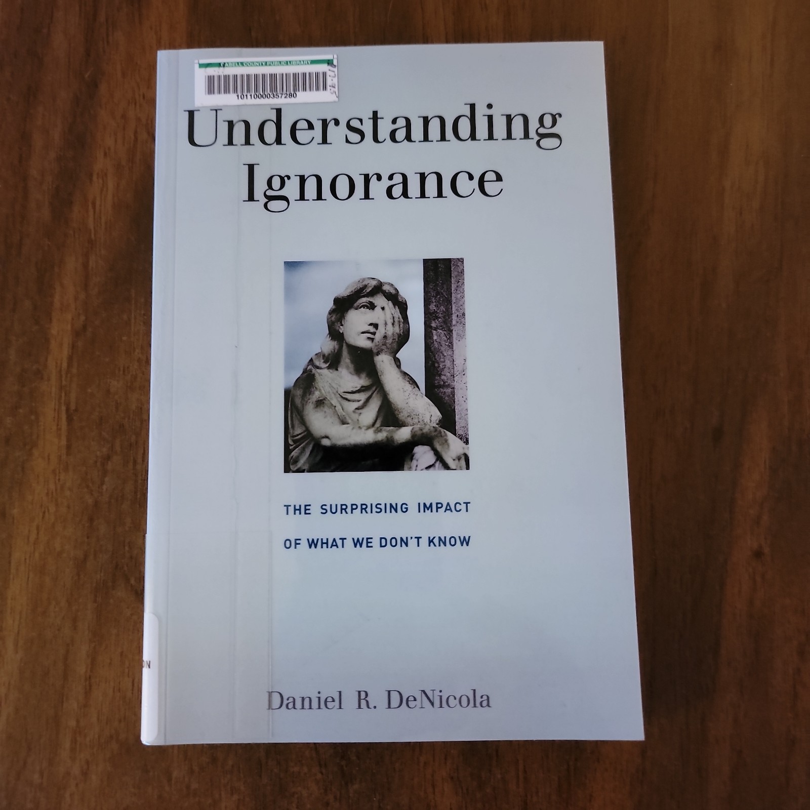 Understanding Ignorance – Daniel R. DeNicola