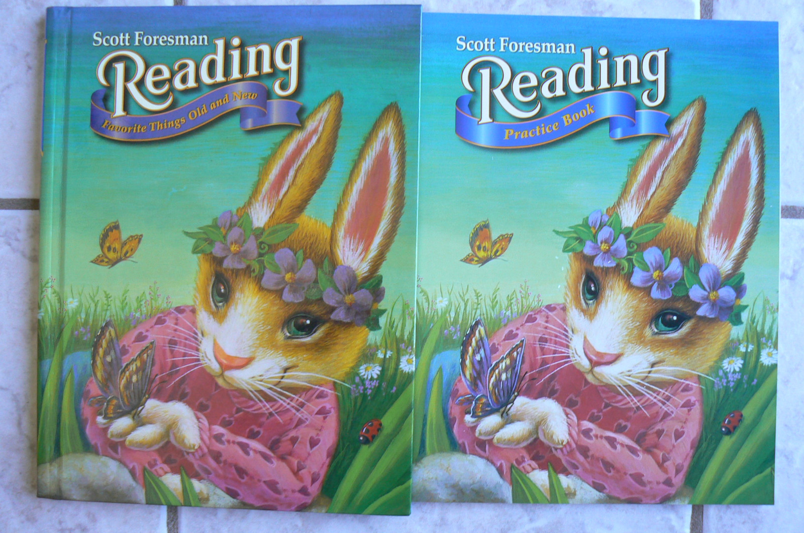 Scott Foresman Reading, gr.1/1st, Reader 1.4 &NEW workbook 2002 Nice! Homeschool