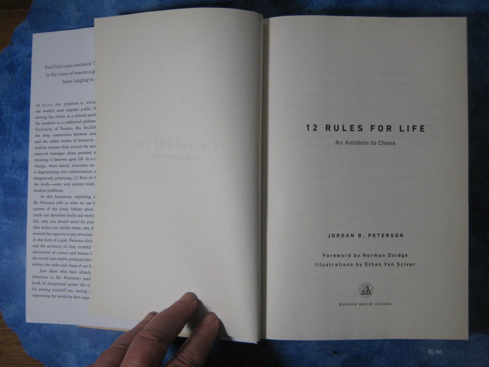 12 RULES FOR LIFE Jordan B. Peterson HCDJ 2018 An Antidote to Chaos ILLUSTR GOOD