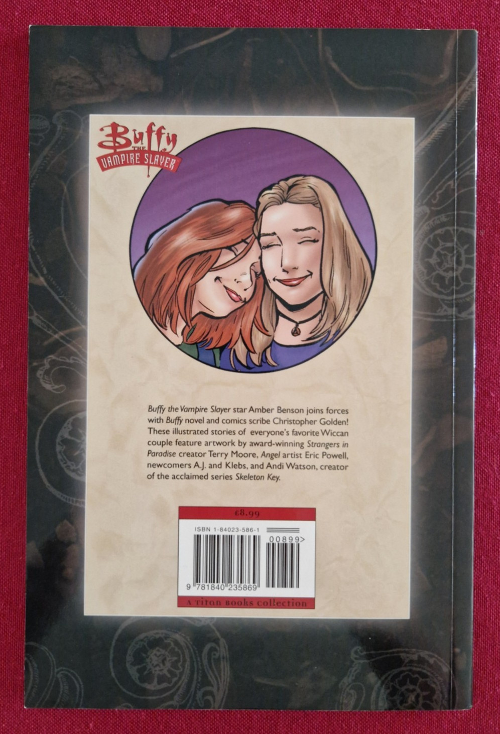 Buffy The Vampire Slayer – Willow & Tara TPB Graphic Novel Titan Books DH 2003
