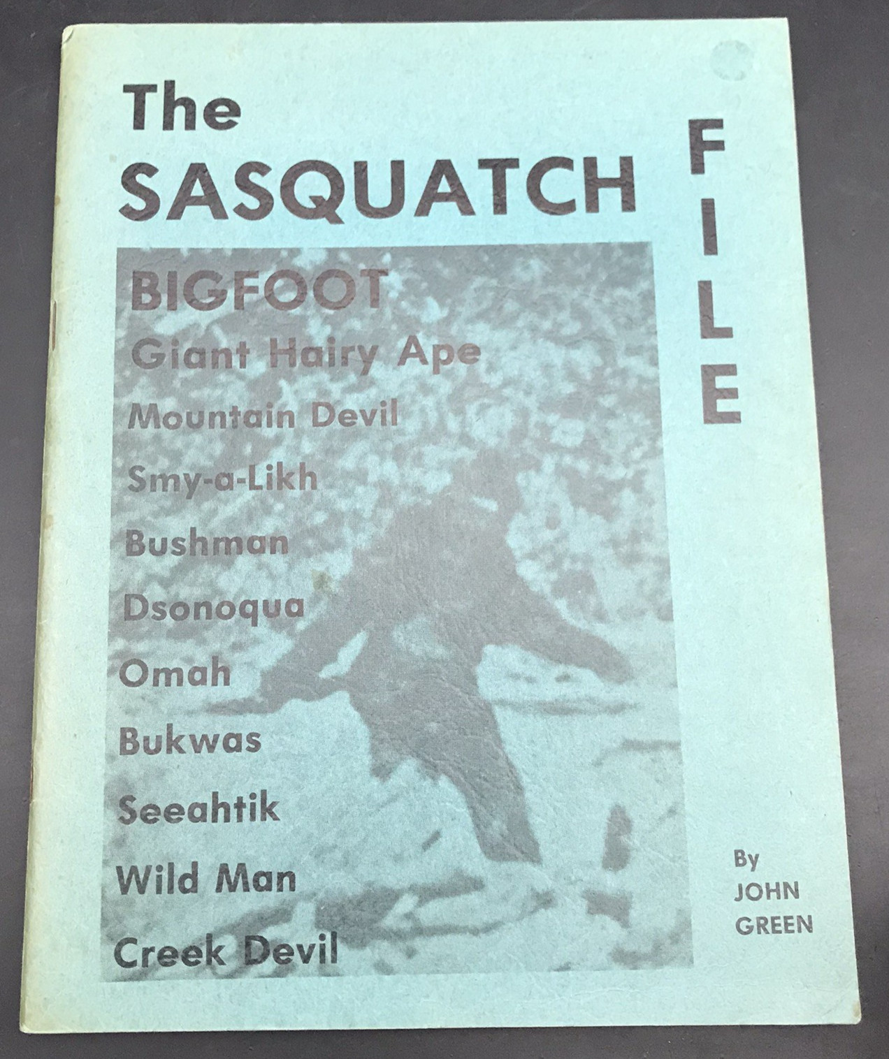 1973 The Sasquatch File by John Green 80 Pages Bigfoot Smy-a-Likh Dsonoqua Omah