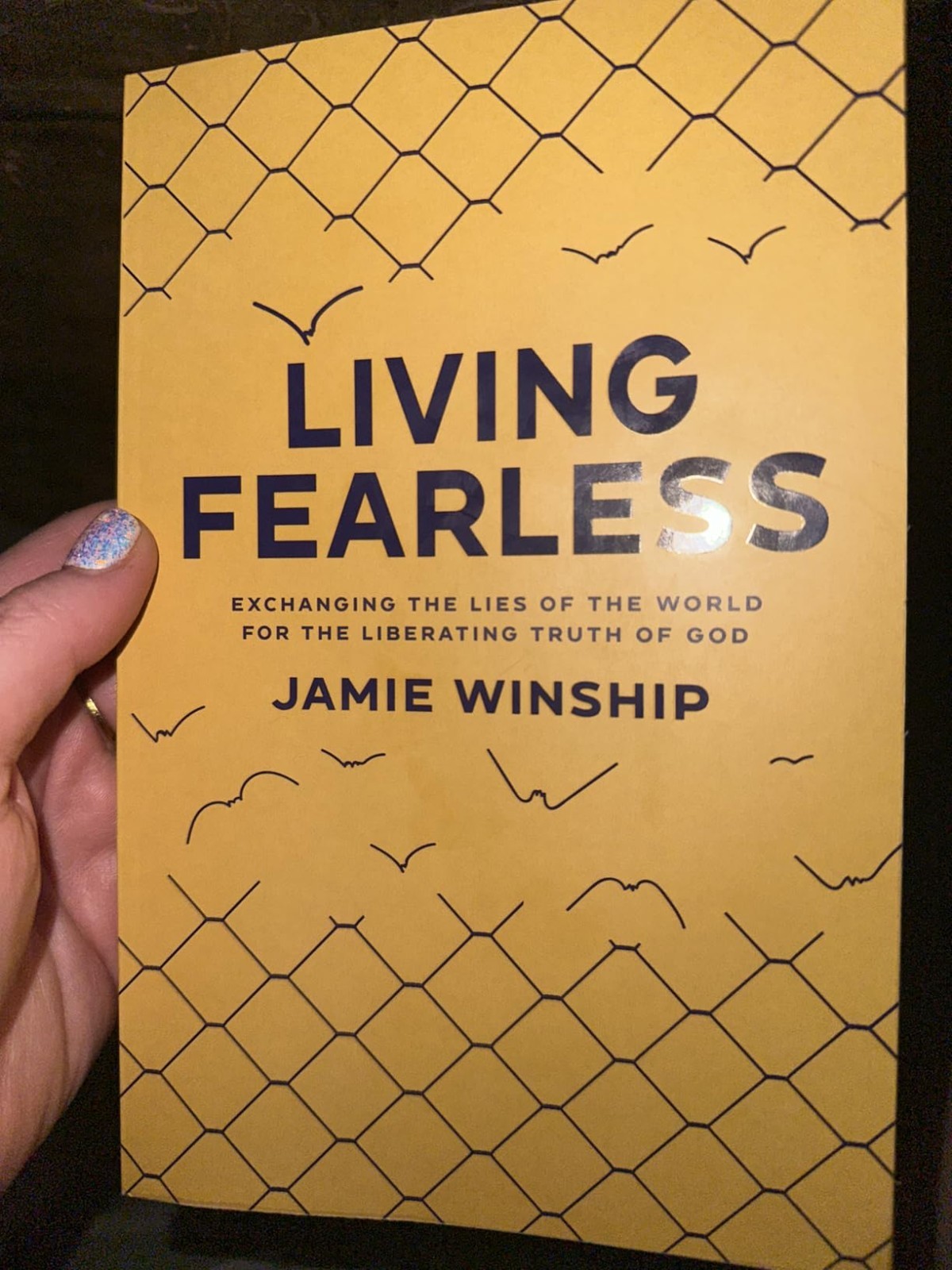 Living Fearless Paperback by Jamie Winship Christian Book Identity in Christ 202