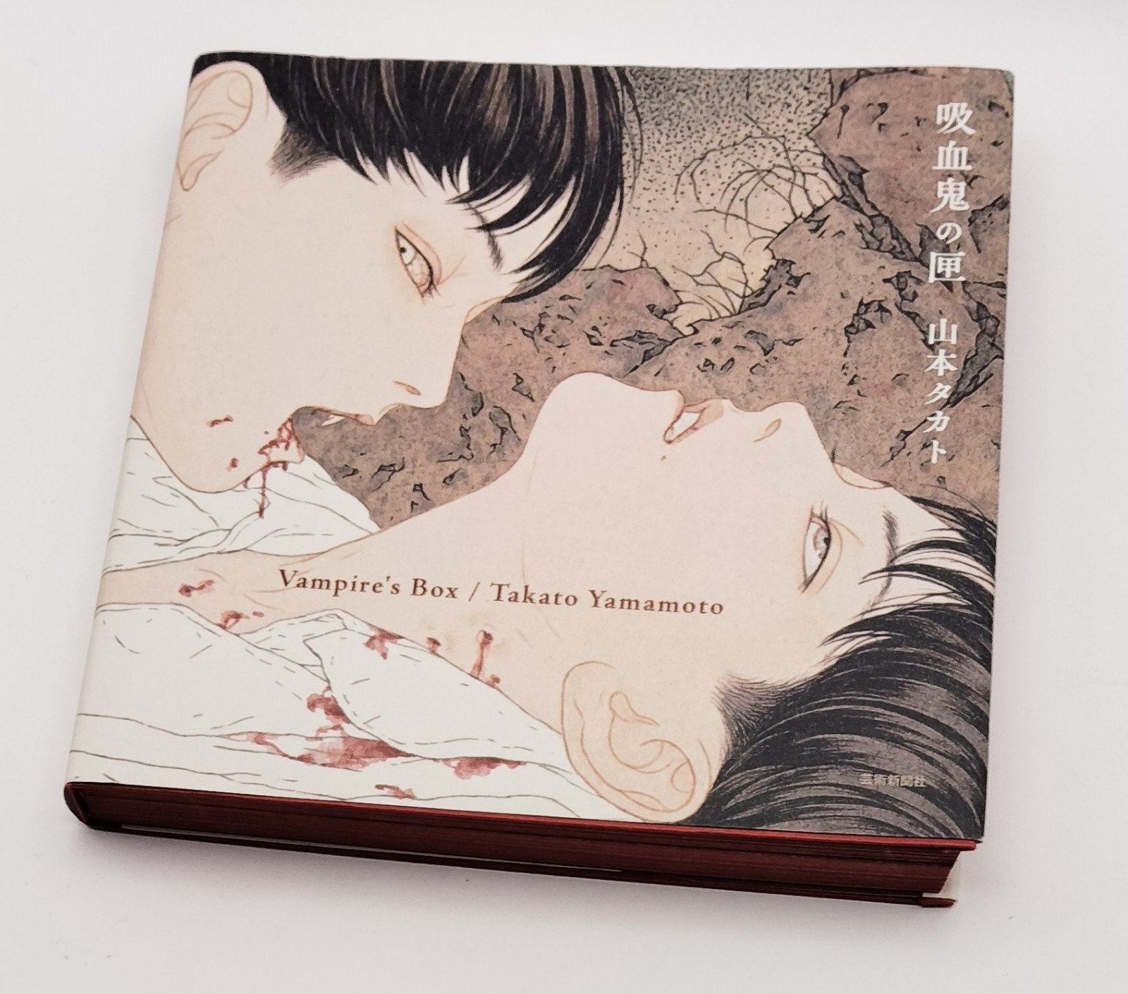 Vampire’s Box Takato Yamamoto Art Book Gothic Illustration