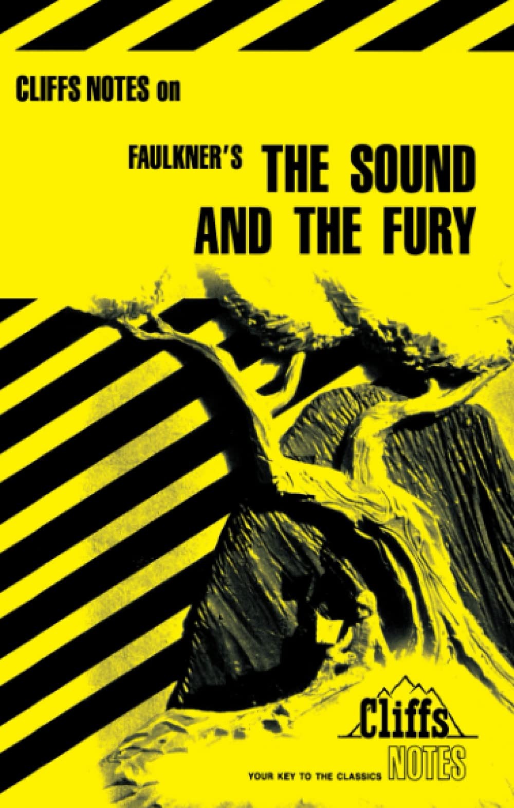 The Sound and the Fury (Cliffs Notes)