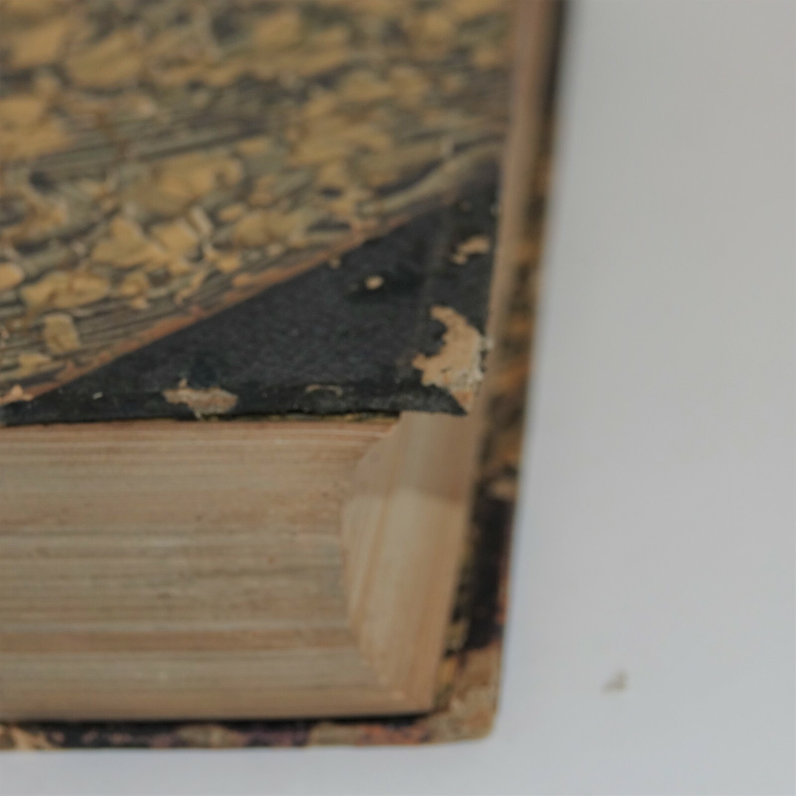Messages And Papers Of The Presidents Vol VIII 1881-1889 James Richardson