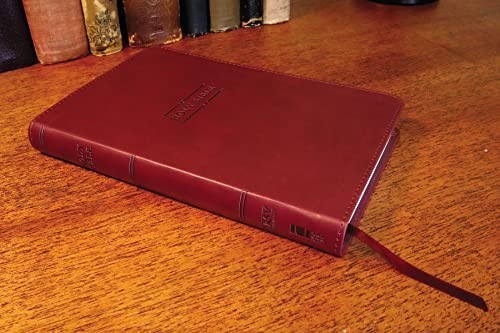 NRSVue, Gift Bible, Leathersoft, Burgundy…, Zondervan