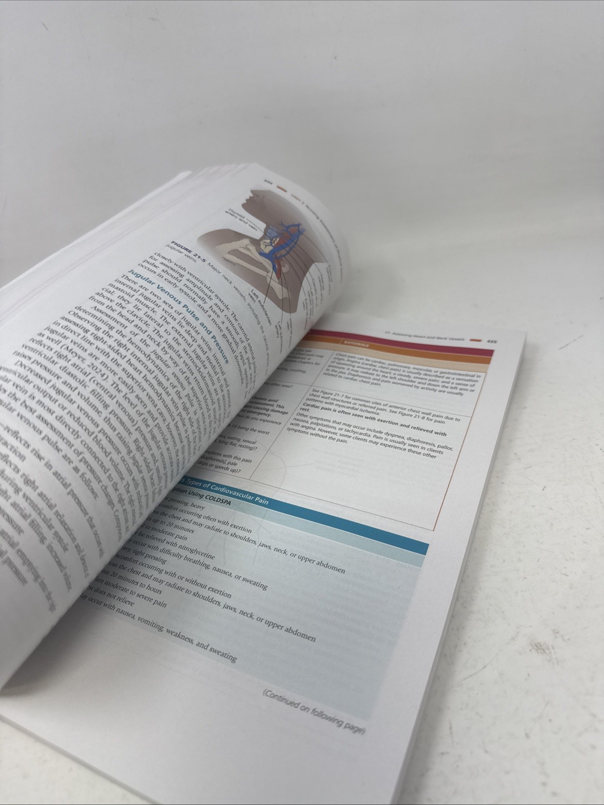 Health Assessment in Nursing by JANET R. WEBER Paperback Book
