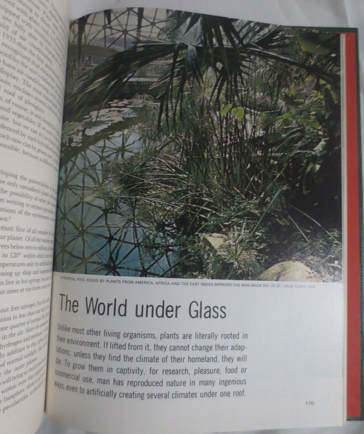 Life Nature Library The Plants 1968 194 Pages
